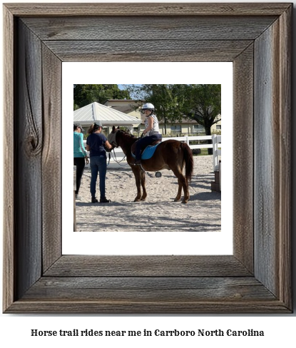 horse trail rides near me in Carrboro, North Carolina